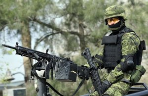 El “quinto transitorio”, la manzana de la discordia