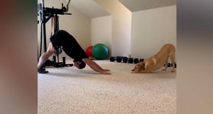 Ejercitarte con tu mascota en casa reduce estrés y ansiedad por confinamiento