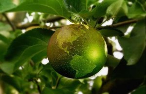 Día Mundial del Medio Ambiente y Coronavirus