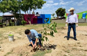 SEDESU y ganaderos conmemoran el Día del Medio Ambiente con reforestación