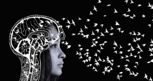 Libertad de expresión