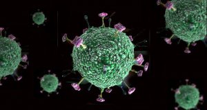 Que no te asusten; aquí que se sabe del virus Nipah y la advertencia de la OMS sobre su letalidad