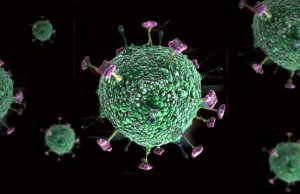 Que no te asusten; aquí que se sabe del virus Nipah y la advertencia de la OMS sobre su letalidad