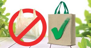 La transición a plásticos biodegradables es por el bien común: CANIRAC