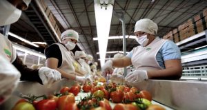 El T-MEC con Estados Unidos y Canadá genera confianza y certidumbre