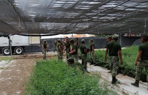 Invitan a adoptar un árbol; SEDESU y Jardín Botánico donarán 4 mil plantas