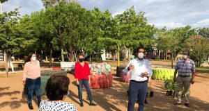 Continúan jornadas de apoyo alimentario y arborización: PRI Sinaloa