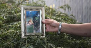 Fallece el primer perro diagnosticado con COVID-19 en EU