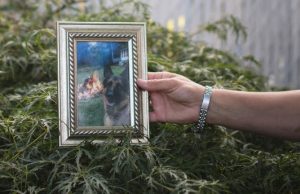 Fallece el primer perro diagnosticado con COVID-19 en EU