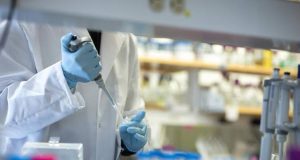 Vacuna contra covid-19 de Oxford y AstraZeneca produce buena respuesta inmune