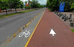 Dan “manita de gato” a señalética en trotapista del Botánico