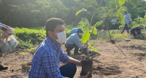 Reforestan zona de la cuenca en la presa Sanalona