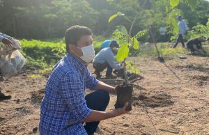Reforestan zona de la cuenca en la presa Sanalona