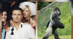 Maldita testosterona