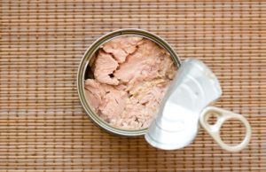 Especialistas de la UNAM encuentran carne de delfín en latas de atún