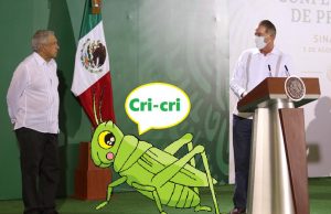 Un grillo, “el colado” a la mañanera del presidente López Obrador en Culiacán