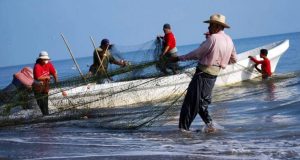 Morena hunde cada vez más a pescadores en pobreza: Jesús Valdés