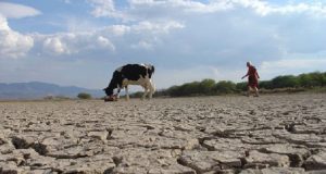 Más sequía severa, sequía extrema y sequía excepcional en México