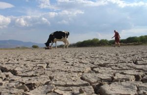 Mitigar los efectos del cambio climático es un tema inaplazable para Sinaloa