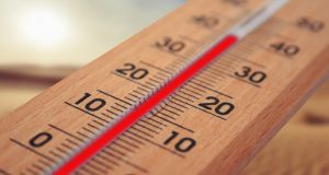 Coepriss pide extremar precauciones y cuidar la salud ante intenso calor