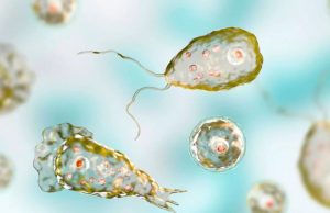 En Texas, alertan de ameba ‘comecerebros’ en agua potable