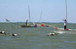 Raquítico el presupuesto 2021 que propone AMLO para la pesca: Sergio Torres