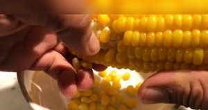 Se desgrana la mazorca