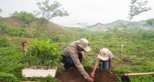 Eligen a ganadores del premio Mérito Ecológico Sinaloa 2020, aquí sus nombres