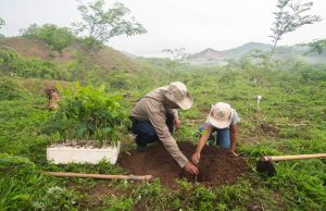 Eligen a ganadores del premio Mérito Ecológico Sinaloa 2020, aquí sus nombres