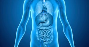 Diseñan una vacuna para prevenir cáncer de pulmón, intestino y páncreas