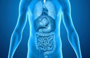 Diseñan una vacuna para prevenir cáncer de pulmón, intestino y páncreas