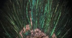 Que “el penacho no era de Moctezuma”, afirma experto