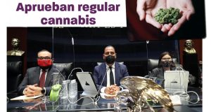 Aprueba el Senado uso lúdico de la mariguana; el consumo estará prohibido en lugares públicos
