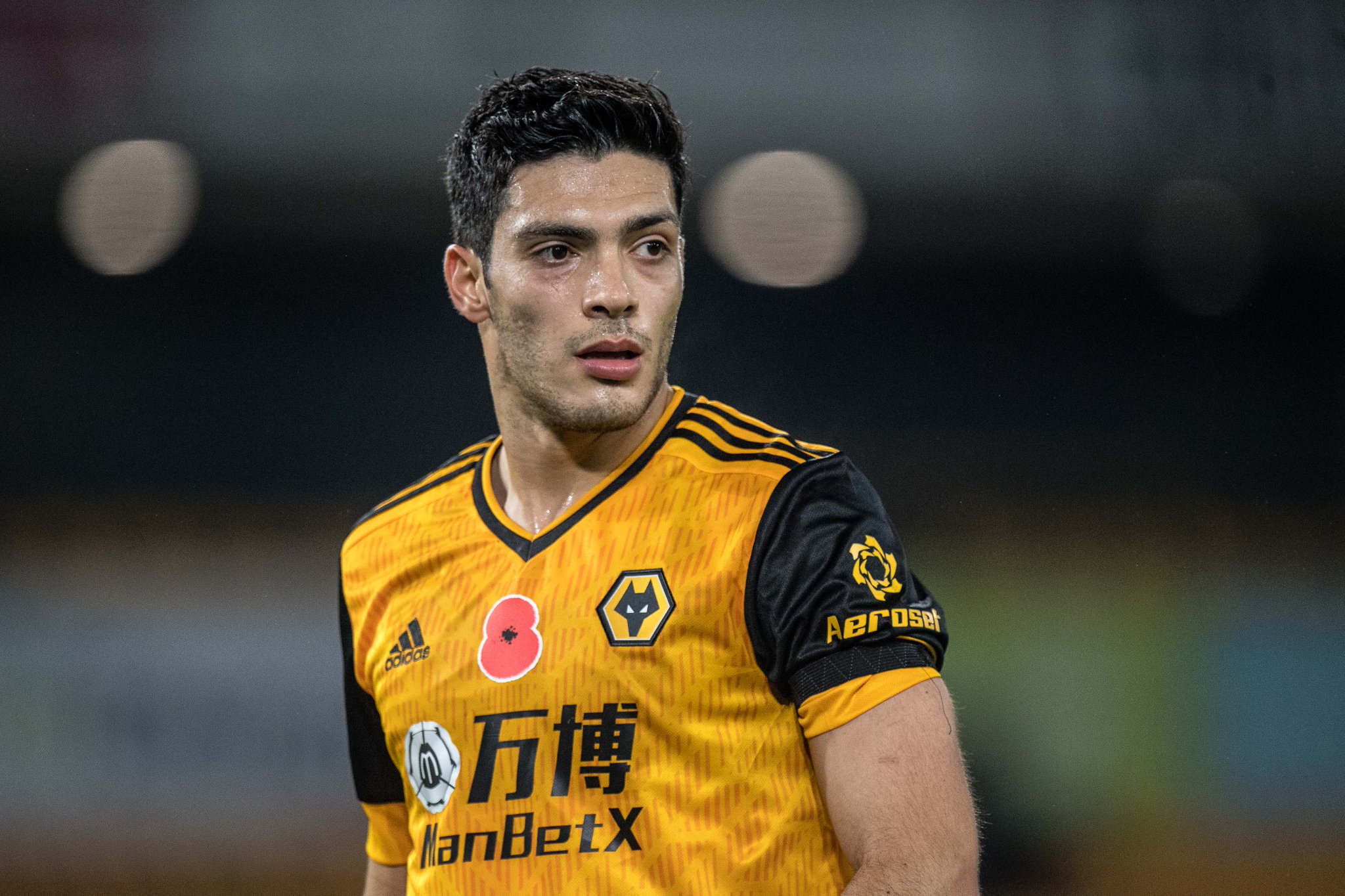 Raul Jimenez / Raul Jimenez Wolves signing: Mexico international is a € ... : Raul's birth flower is lily of the.