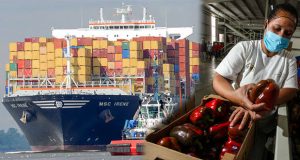 Sinaloa, con gran oportunidad de consolidar sus exportaciones hacia China