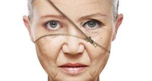 Aseguran científicos revertir el envejecimiento celular por primera vez