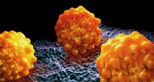 Desarrollan un virus oncolítico que mata el cáncer de colon