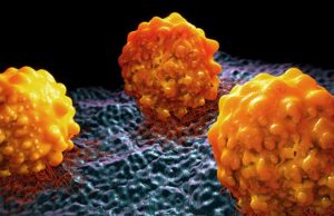 Desarrollan un virus oncolítico que mata el cáncer de colon