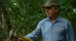 Fallece por Covid-19 José Alfredo Leal Orduño, exsecretario general de la UAS