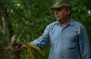 Fallece por Covid-19 José Alfredo Leal Orduño, exsecretario general de la UAS