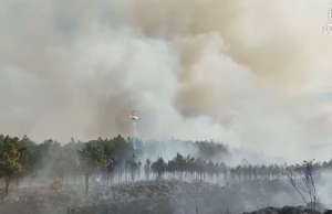 De forma inmediata, combate Toluca incendio en las inmediaciones de Tlacotepec