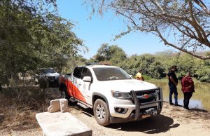 Ante avistamiento de cocodrilos en Tepuchito, Protección Civil mantendrá supervisión