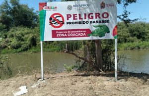 Ante presencia de cocodrilos, piden a ciudadanos no entrar al río en Tepuchito