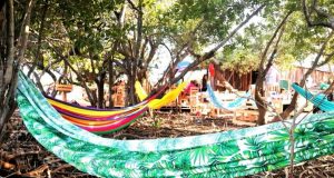 Descubre “Las Hamacas” el restaurant sustentable en un manglar