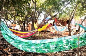 Descubre “Las Hamacas” el restaurant sustentable en un manglar