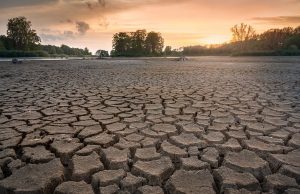 La asesina silenciosa