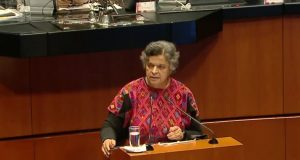 Necesario que el gobierno federal tenga un plan para recertificar pesca de camarón: Beatriz Paredes