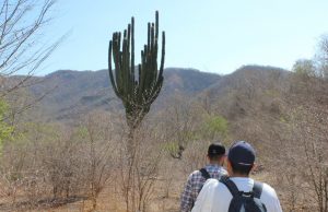 Biólogos de la UAS trabajan en conservación de especies en Reserva El Chirimole