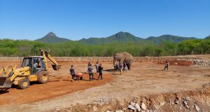 ¡Bigboy ya está en su casa! Inauguran Santuario Ostok en Culiacán