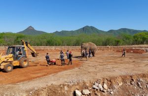 ¡Bigboy ya está en su casa! Inauguran Santuario Ostok en Culiacán